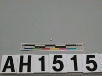 藏品(人造貝珠)的圖片